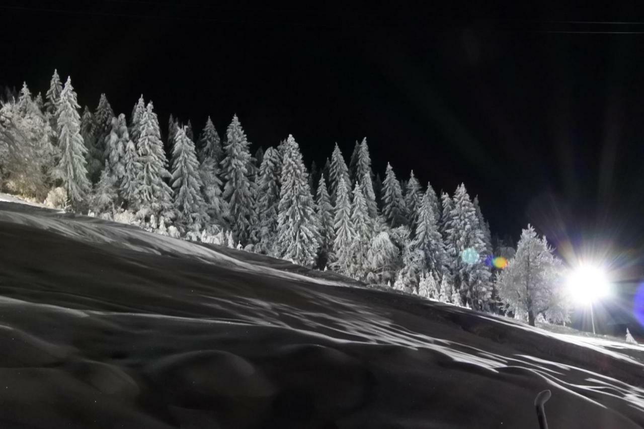 Haus Martin Daire Schlanitzen Dış mekan fotoğraf
